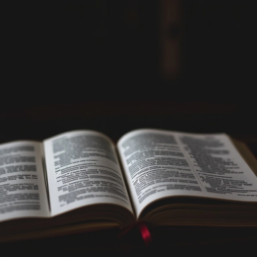 life application study bible nlt